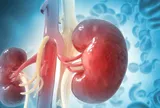 Người có thận yếu thường làm 4 việc này mỗi ngày: Ai mắc nên bỏ ngay!