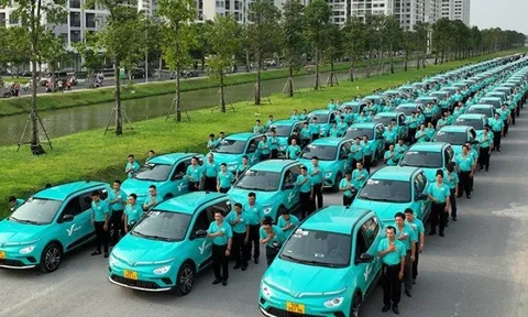 Chính phủ yêu cầu tạo giải pháp chuyển đổi sang xe điện cho doanh nghiệp taxi