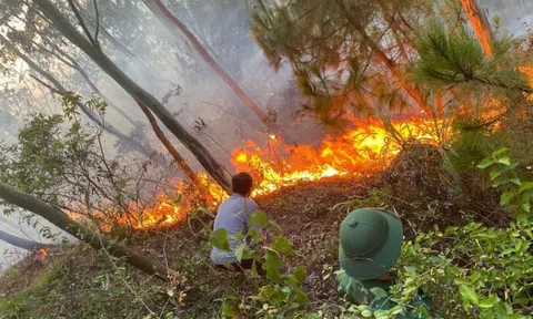 Nắng nóng, Nghệ An “kích hoạt” nhiều phương án phòng chống cháy rừng