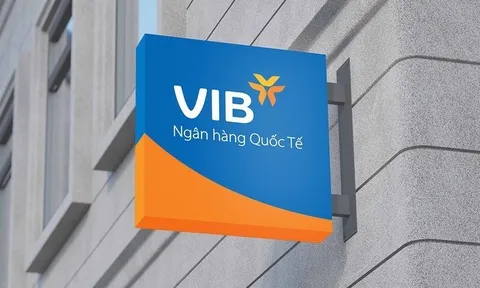 VIB: Lợi nhuận quý 1/2025 đạt hơn 2.400 tỷ đồng, CASA tăng 17%, thực hiện chia cổ tức 21%