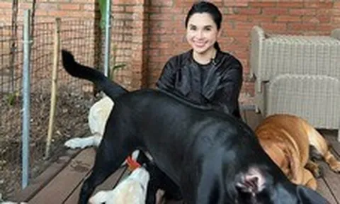 "Chị bán gạo" hot nhất TikTok xây villa cho cún cưng, 2 triệu người cảm thấy... "thua đời"