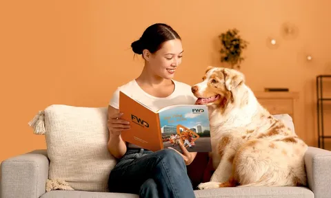 FWD ra mắt hợp đồng mới: Thiết kế hiện đại, nội dung cô đọng, dễ tra cứu