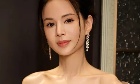 Sự thật khó tin vụ 'Tiểu Long Nữ' Lý Nhược Đồng bị hải quan chặn lại