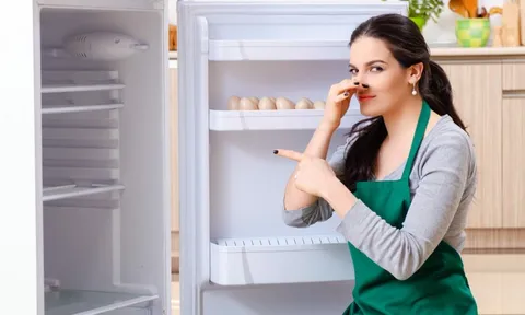 Tủ lạnh thơm tho suốt tháng nếu biết để thứ này vào trong