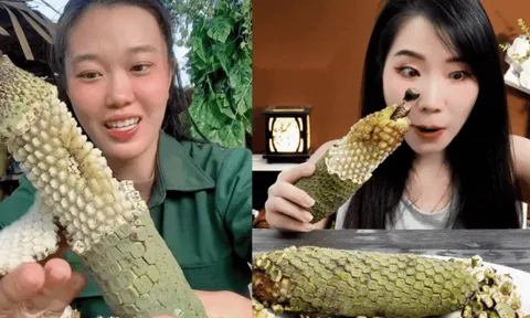 "7 năm chờ mới ăn được một quả": Loại cây nhà giàu trồng làm cảnh nay thành đặc sản mukbang gây sốt MXH