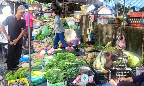 Bà nội trợ giật mình với giá rau xanh tăng gấp 3 lần, rau muống, rau cải tới 25.000 đồng/mớ
