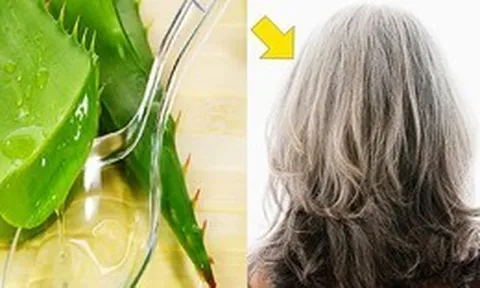 Loại lá có tác dụng phục hồi tóc hư tổn chỉ sau vài lần gội đầu