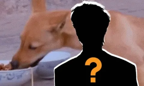 1 sao nam Bố Ơi Mình Đi Đâu Thế gặp nguy hiểm tính mạng