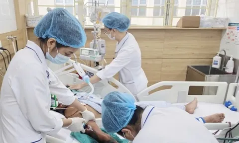 Người đàn ông 34 tuổi tử vong vì đắp lá chữa rắn hổ mang cắn 0