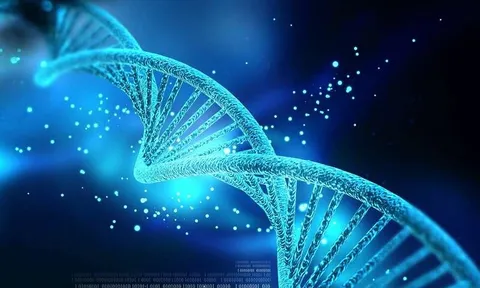 Bị bố chồng đuổi ra đường, con dâu quyết xét nghiệm ADN, lật tẩy bí mật giấu kín suốt 40 năm