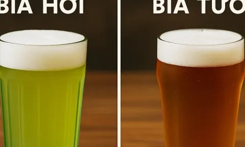 Bia hơi khác gì với bia tươi?
