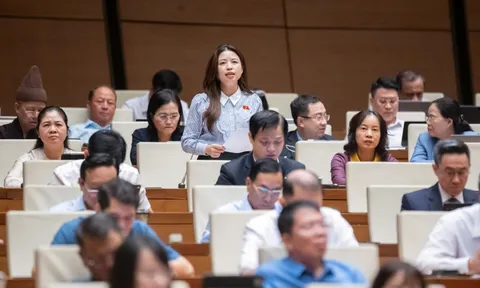 Đại biểu Quốc hội: Bạo lực học đường khiến nhiều giáo viên sợ lên lớp 0