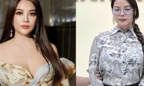 Sự nghiệp của diễn viên Trương Ngọc Ánh trước khi bị bắt