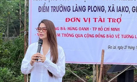 Những hoạt động của diễn viên Trương Ngọc Ánh trước khi bị bắt