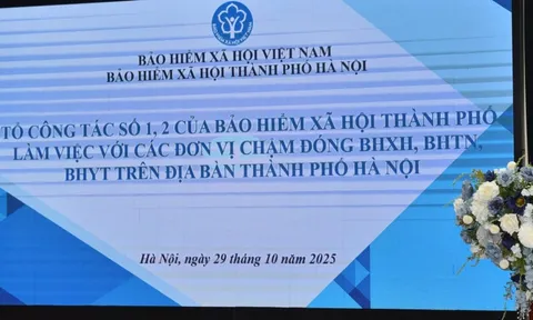 Trốn đóng BHXH, BHTN: Cách tính tiền và số ngày theo quy định mới