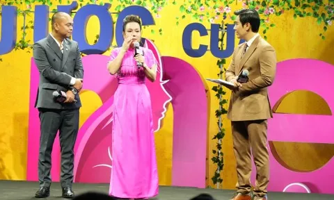 Việt Hương xúc động khi dẫn chương trình tôn vinh người mẹ Việt