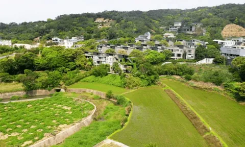 4 cặp vợ chồng rủ nhau về quê, xây nhà ở chung tuổi già, chưa được 6 tháng đã cãi nhau: "Tôi suýt mất cả chồng con”