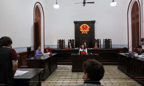 Lý rành rọt, tình đau nhói