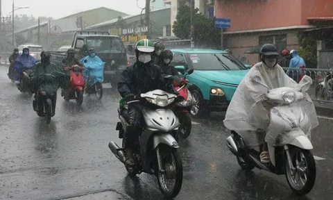 Dự báo thời tiết hôm nay, 8-11: TP HCM có mưa về chiều và tối