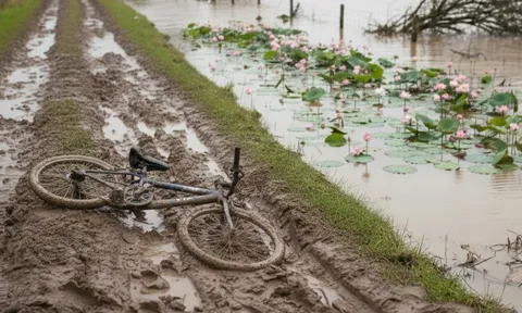 Hai anh em họ ở Đà Nẵng tử vong thương tâm