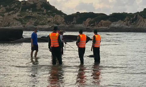 Tìm thấy thi thể du khách TP HCM bị sóng cuốn tại Kê Gà