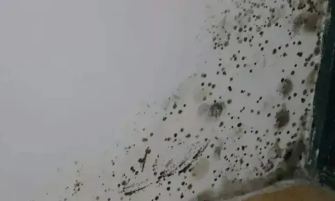 6 mùi hôi thối tanh nồng trong nhà cảnh báo nguy hiểm