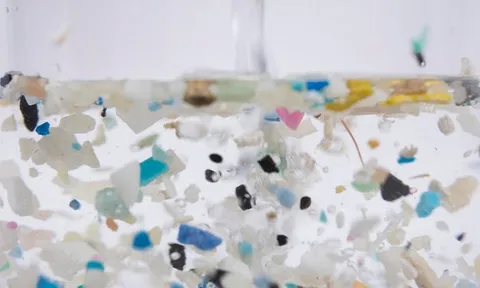 2 loại nước chứa đầy hạt vi nhựa nhưng người Việt lại thích, đa số uống mỗi ngày