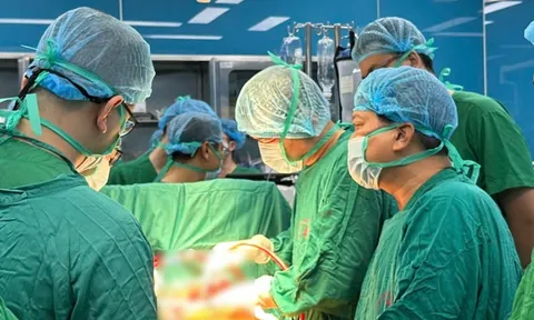 Lần đầu Việt Nam thực hiện thành công 2 ca ghép phổi trong một ngày 0