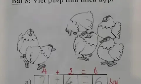 Bài toán lớp 1 khiến cộng đồng mạng chia phe tranh luận 12