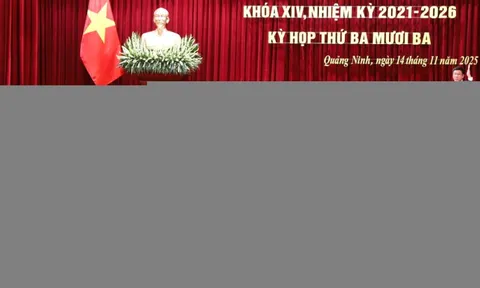 Quảng Ninh chi hơn 1.700 tỷ đồng cho chương trình sữa học đường 0