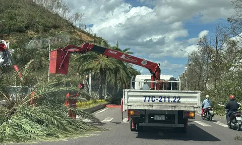 Gia Lai lại sắp đối mặt mưa lũ nguy hiểm, chủ tịch tỉnh ký công điện khẩn