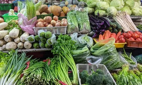 7 loại rau "bẩn nhất chợ" chứa nhiều ký sinh trùng, thuốc trừ sâu, cái thứ 5 bị “điểm tên” không hề oan