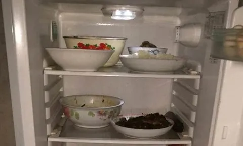 Có nên rút điện tủ lạnh khi đi xa?