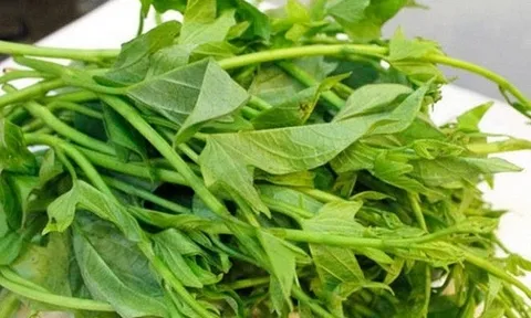 5 loại rau "ít thuốc, siêu lành": Giá rẻ nhất chợ Việt, không mua quá phí