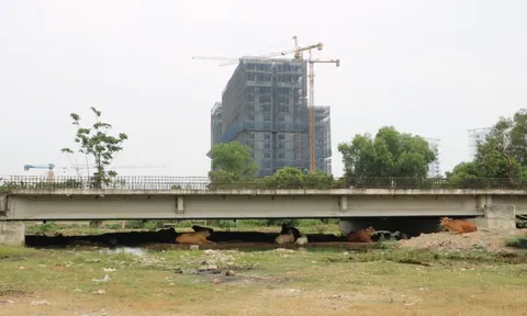 Vành đai 2 - TP HCM chuẩn bị khởi công