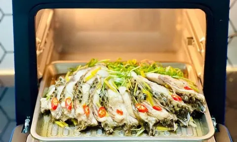 Việt Nam có loại cá bổ dưỡng ngang cá hồi, nhiều quốc gia tìm mua