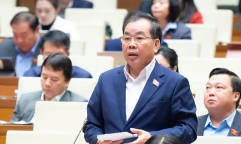 ĐBQH kiến nghị xem xét lại sự tồn tại của cơ sở giáo dục đại học vùng 0