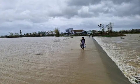 Gia Lai họp khẩn, yêu cầu sơ tán dân trong đêm vì nước sông dâng cao
