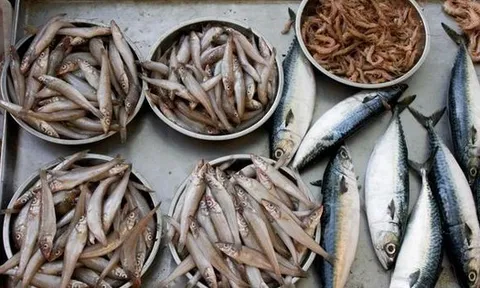 4 loại cá dễ là "ổ kim loại nặng", ngay cả người bán cũng ít dám ăn