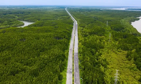 TPHCM xin ý kiến 4 bộ về dự án cầu, đường Cần Giờ - Vũng Tàu