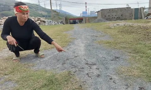 Lý giải hiện tượng kỳ lạ vừa xuất hiện ở Quảng Trị khiến người dân xôn xao