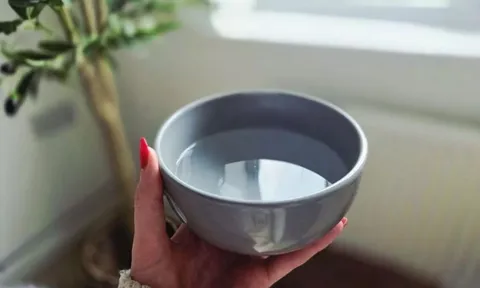 Vì sao nên đặt 1 bát nước trong nhà mùa đông?