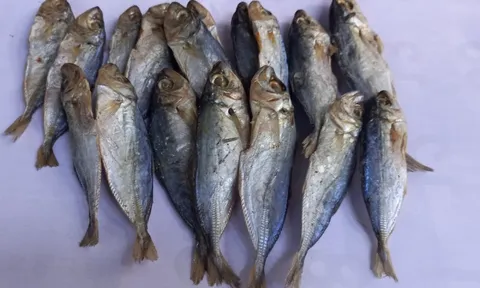 3 loại cá làm tăng nguy cơ mắc ung thư: Toàn món khoái khẩu của nhiều người