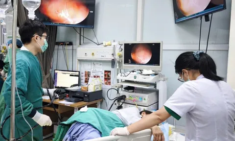 Sụt cân kéo dài vì nhiễm cả ổ giun tóc