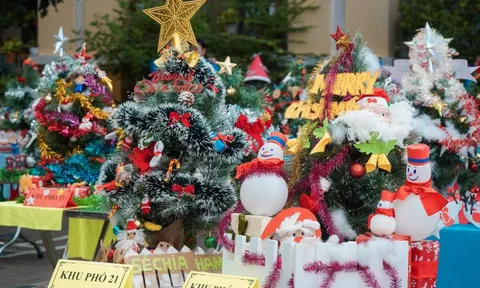 Phường Nhiêu Lộc "lên đèn" đón Giáng sinh bằng hội thi trang trí cây thông