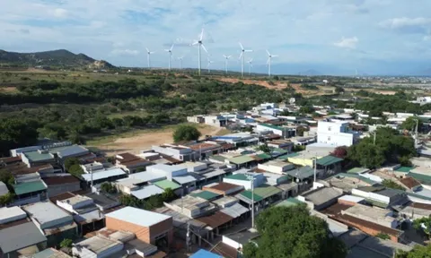 Đẩy nhanh giải phóng mặt bằng 2 dự án điện hạt nhân