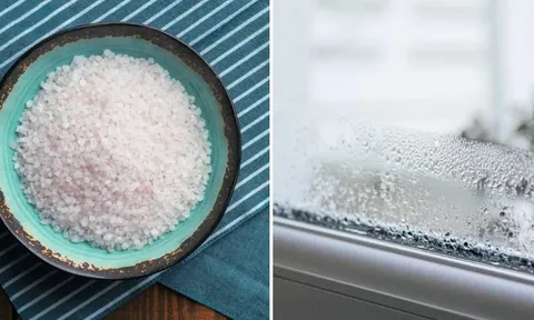 Đặt đĩa muối cạnh cửa sổ mùa đông có tác dụng gì?