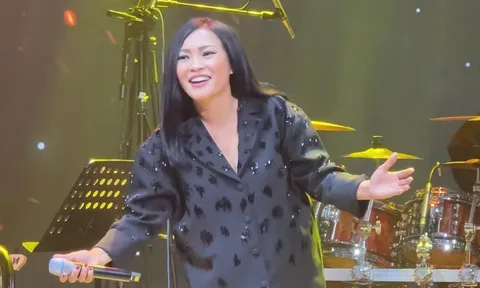 Nhiều ca sĩ nổi tiếng hát trong đêm nhạc quyên góp cho miền Trung