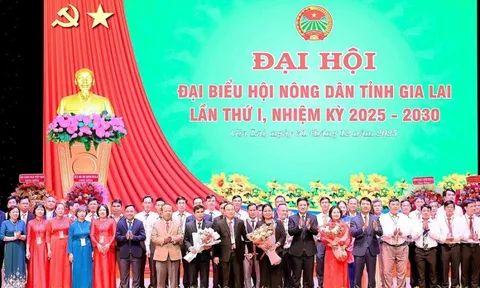 Bà Rơ Chăm H’Hồng được chỉ định giữ chức Chủ tịch Hội Nông dân tỉnh Gia Lai