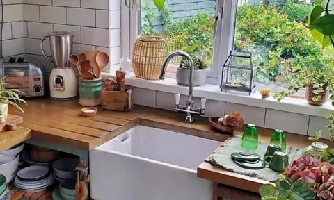 3 vị trí trong nhà thà để trống còn hơn trồng cây: Cây dễ chết, người uể oải